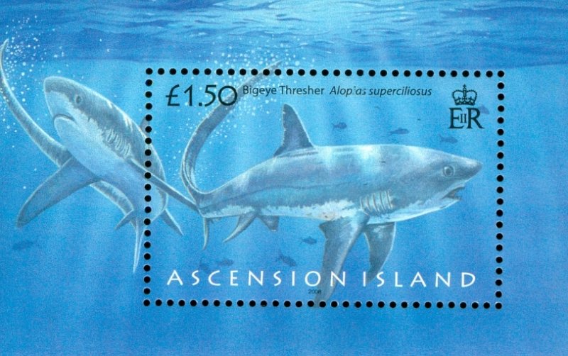 R2-0155 ASCENSION ISLAND 940 MH SS MARINE LIFE SCV $6.25 BIN $3.25