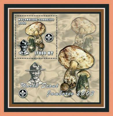 Mozambique - Mushrooms on Stamps -  Stamp Souvenir Sheet - 13A-155