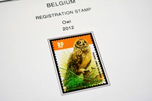 COLOR PRINTED BELGIUM 2011-2020 STAMP ALBUM PAGES (145 illustrated pages)