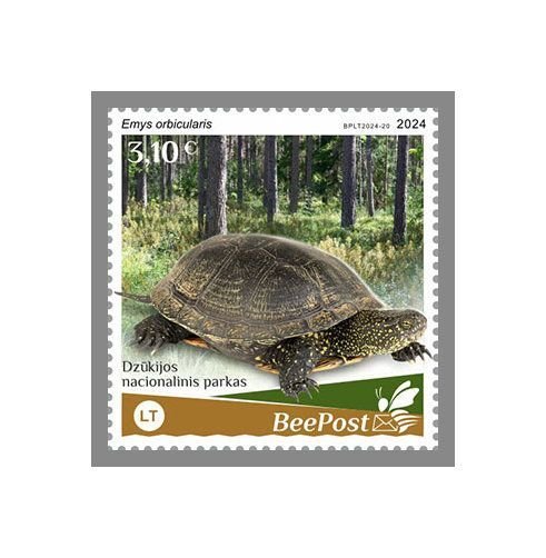 LITHUANIA BEEPOST 2024 MNH Turtles, Dzūkija National Park 1v #20a