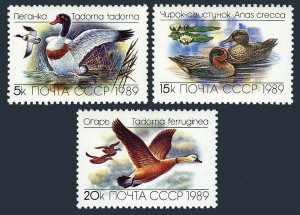 Russia 5783-5785 sheets of 36,MNH.Michel 5965-5967. Ducks 1989.