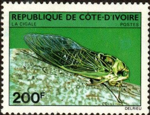 Ivory Coast 566 - Mint-H - 200fr African Cicada (1980) (cv $7.50)