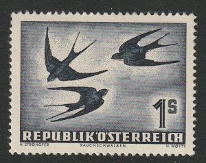 BIRDS-AUSTRIA #C55 MNH