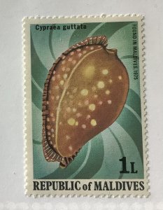 Maldive islands 1979 Scott 786 used - 1 l,  sea shells, Rare spotted Cowrie