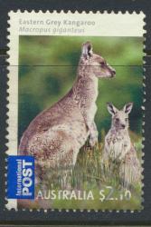 Australia SG 3219  SC# 3097 Eastern Kangaroo  2009  perf 14½ x 14 ord gum 