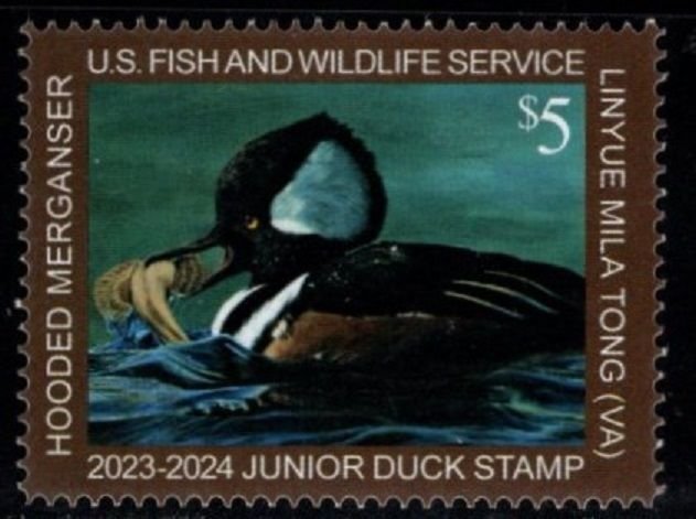 #JDS31 2023 - 2024 Jr. Duck Stamp - MNH