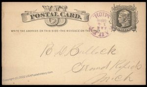 USA 1878 Michigan BAILEY Violet Cancel Postal Card Cover 96319