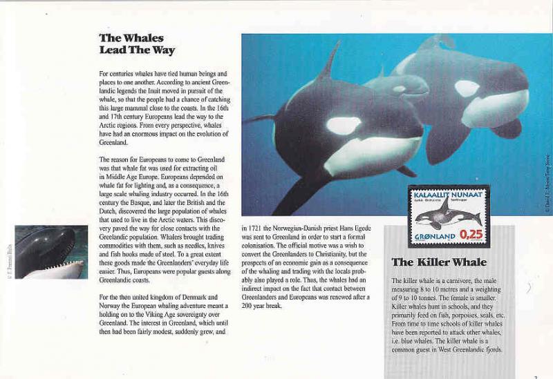 Greenland 1998 The Whales of Greenland Booklet (23 pages, English)