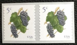 US #5038 MNH Coil Pair Pinot Noir Grapes