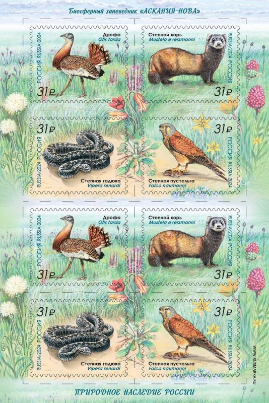 Russia 2024 Ukrainian reserve Askania-Nova rare fauna sheetlet MNH