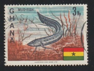 Ghana 290 Mud fish