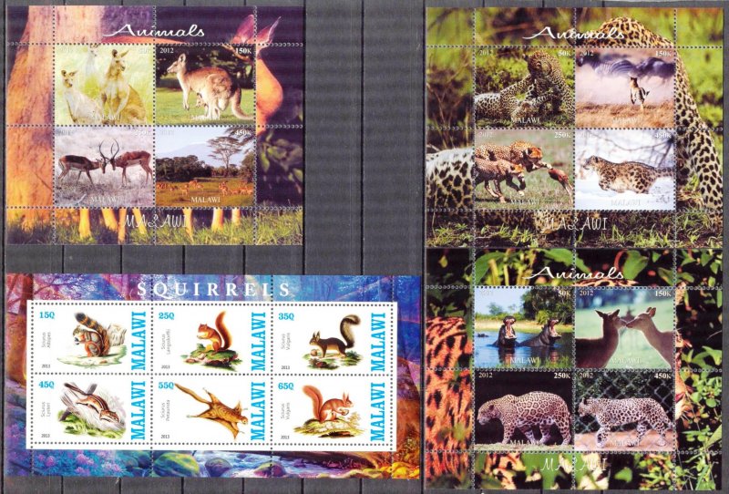 Malawi 2012 2013 Squirrels Leopards Kangaroos 4 sheets MNH Cinderella {s018}