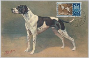 52673 - SAN MARINO - MAXIMUM CARD - ANIMALS dog POINTER 1956-