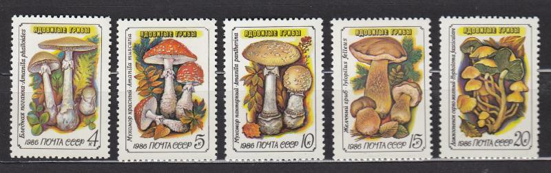 Russia - Soviet Union - 1986 Mushrooms Sc# 5454/5458 - MNH (829N)