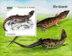 Chad - 2023 Lizards, Giant Girdled Lizard - Stamp Souvenir Sheet - TCH230112b