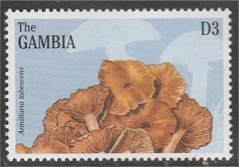 GAMBIA, 1997, MNH 3d, Mushrooms Scott 1877