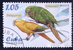 CUBA Sc# 4469  PARROTS tropical birds   1.05c    2005  used / cto