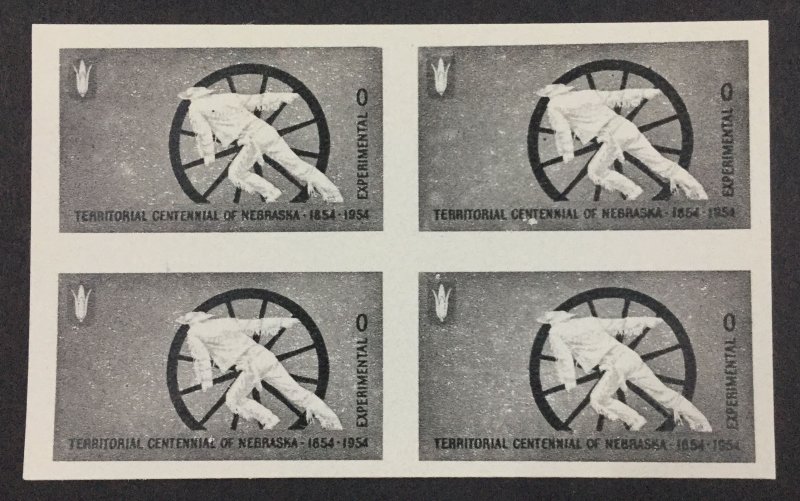 TD100 -  Test Stamp  Block  Mint NH OG  XF
