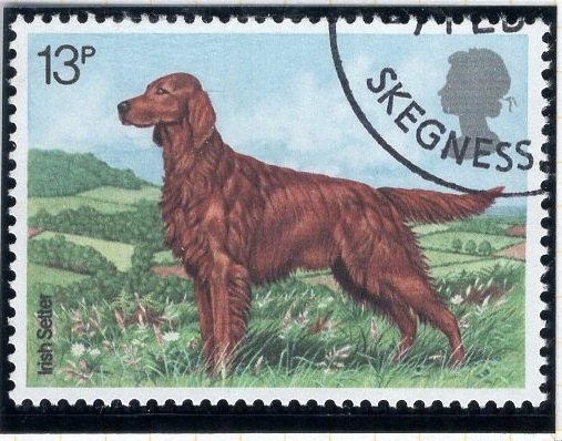 Great Britain   #854 used 1979  dog