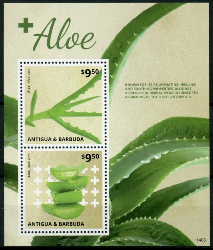 Antigua & Barbuda Plants Stamps 2014 MNH Aloe Vera Aloes 2v S/S I 