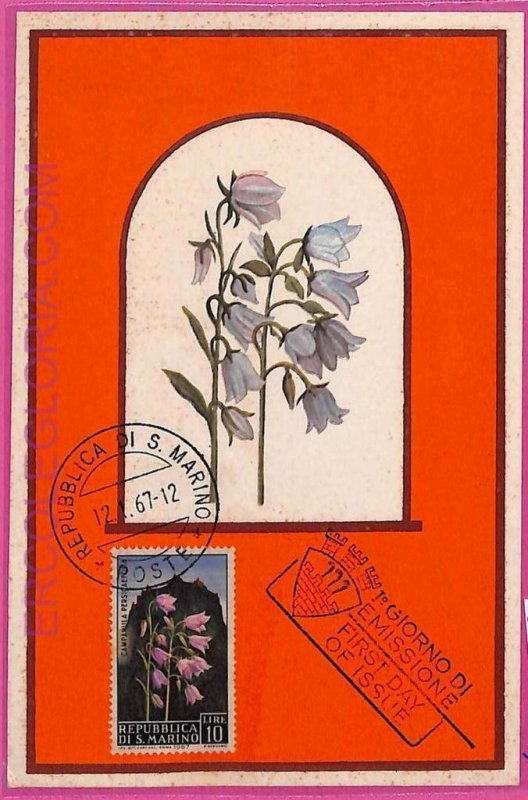 ag3476 - SAN MARINO - POSTAL HISTORY - Maximum Card - 1967 - Flowers-