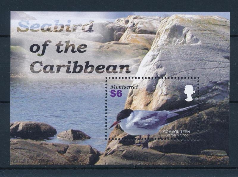 [40115] Montserrat 2005 Birds Vögel Oiseaux Ucelli   MNH Sheet