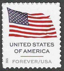 USA Sc. 6016 (F) Flag 2025 MNH pane single