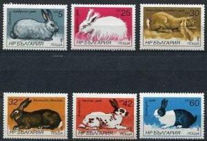 Bulgaria 1986 Sc 3146-1 Mi 3447-2  MNH Fauna Hares And Rabbits 9879