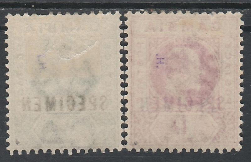 GAMBIA 1902 KEVII SPECIMEN 1/2D AND 1D WMK CROWN CA