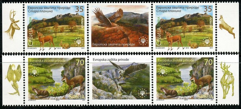 0641 SERBIA 2014 - European Nature Conservation - Fauna - MNH Middle Row