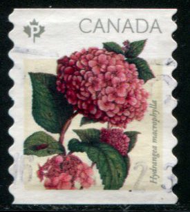 2897 Canada P Hydrangea SA coil, used