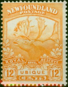 Newfoundland 1919 12c Orange SG138 Fine & Fresh LMM