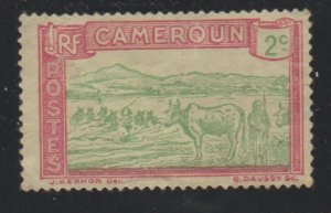 Cameroun 171 cattle