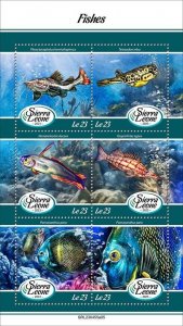 2024 03- SIERRA LEONE - FISHES          6V complet set    MNH ** T