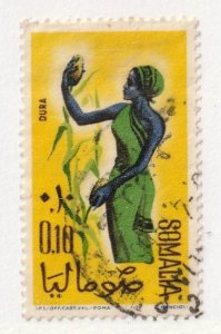 Somalia       251         used