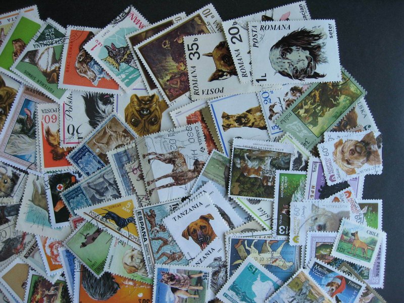 Topical hoard breakup 200 Dogs. Mixed condition, few duplicates