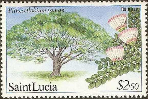 St. Lucia - #652 -MNH- 1984 - Rain Tree - $2.50 - SCV-1.90