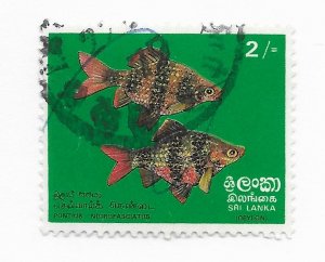 Sri Lanka #476 - Stamp CAT VALUE $6.00