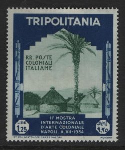 TRIPOLITANIA, 78  MINT HINGED REMNANTS