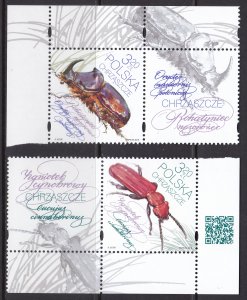 Poland, Fauna, Insects, Beatles MNH / 2018