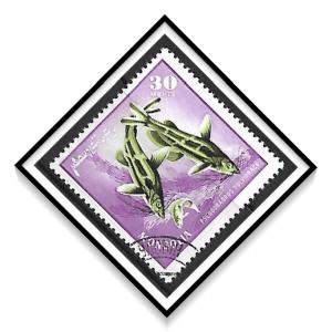 Mongolia #393 Fish Bagrid Catfish CTO