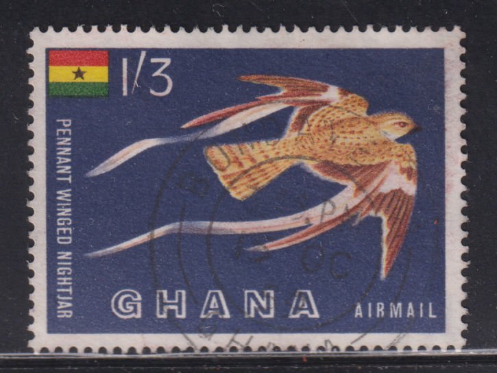 Ghana C1 Pennant-Winged Nightjar 1959