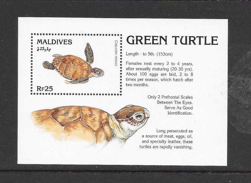 TURTLES - MALDIVES #2094 GREEN TURTLE S/S MNH