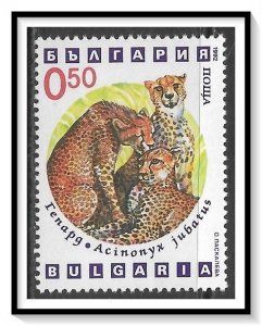 Bulgaria #3738 Wild Cats MNH