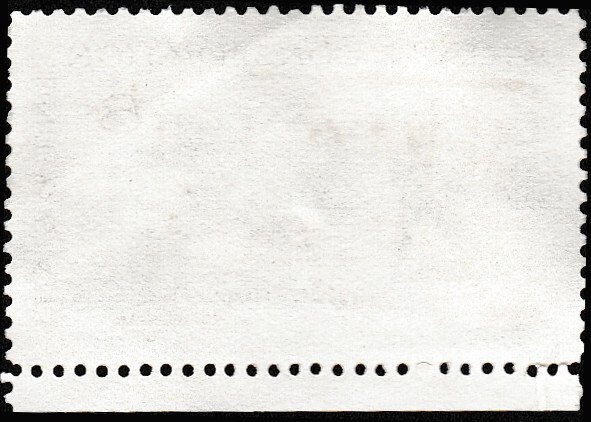 # 1429 USED POLAR BEARS