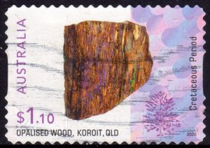 AUSTRALIA 2020 Opalised Fossils 
