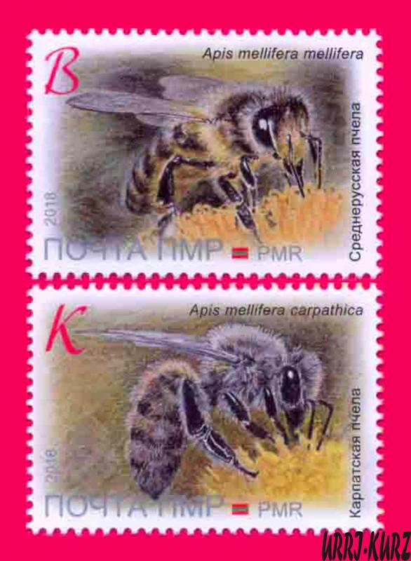 TRANSNISTRIA 2018 Nature Fauna Insects Bees Bee on Flower 2v MNH