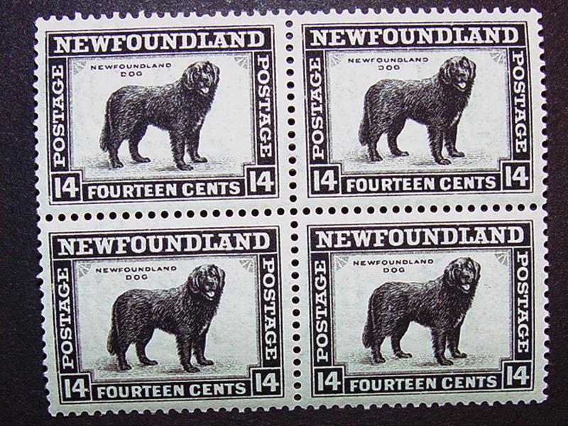 Newfoundland #194 Block of Four MNH CV $26.00+++!=SALE!= 