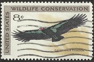 # 1430 USED CALIFORNIA CONDOR