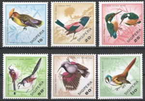 Albania 1968 Birds MNH VF